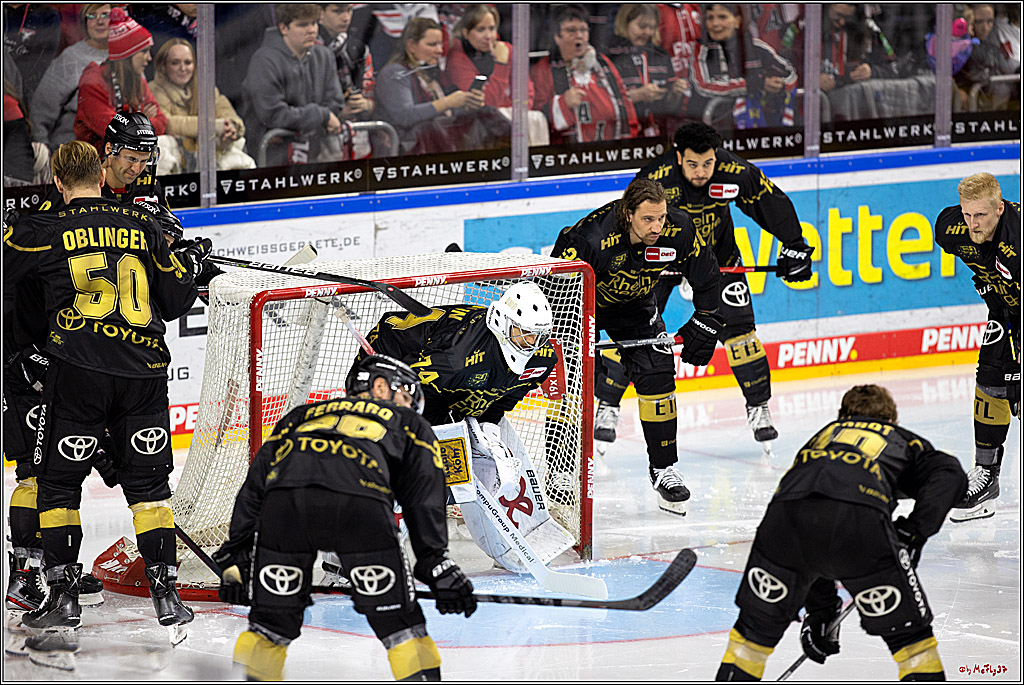 PENNY DEL;  Kölner Haie - ERC Ingolstadt; Köln, 25.11.2022